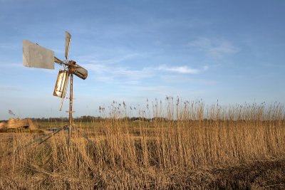 Friesland, Oudega. Countryside