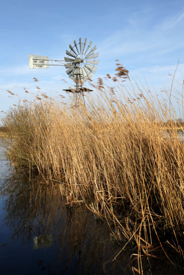 Friesland, Oudega. Mill