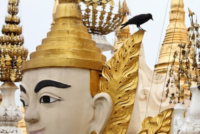 Yangon: Shwedagon Pagoda