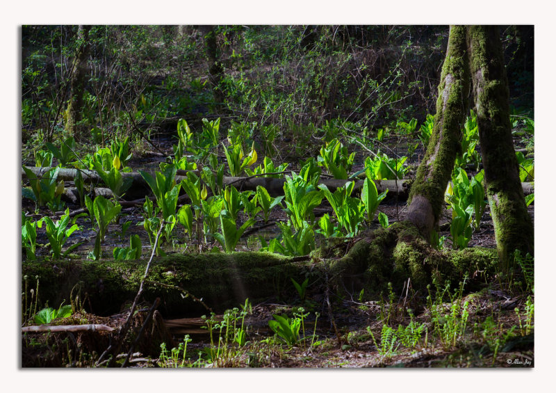 Spring Equinox...