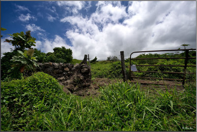 A Rural Scene...