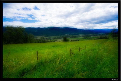 A Countryside Dream...