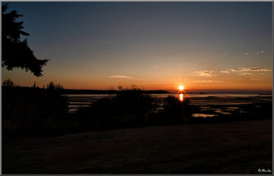 Sunrise Bliss...