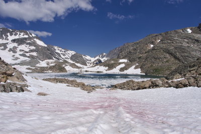 IMGP3442.jpg