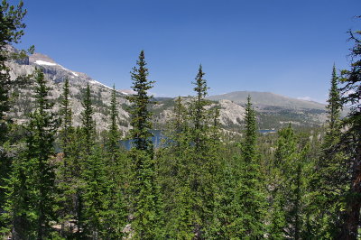 IMGP3692.jpg