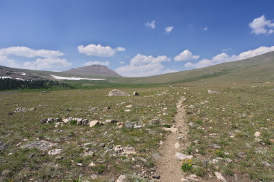 IMGP3710.jpg