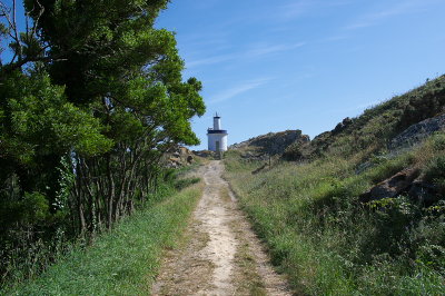 IMGP2890.jpg