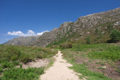 IMGP3027.jpg