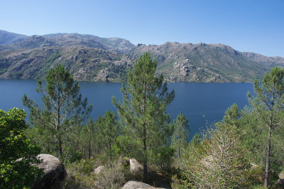 IMGP3031.jpg