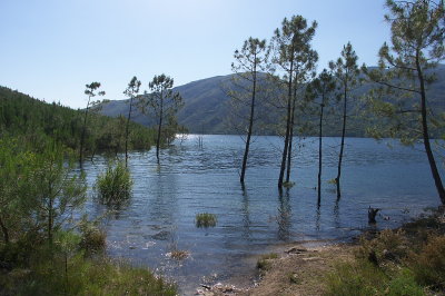 IMGP3042.jpg
