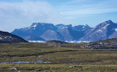 IMGP5946.jpg