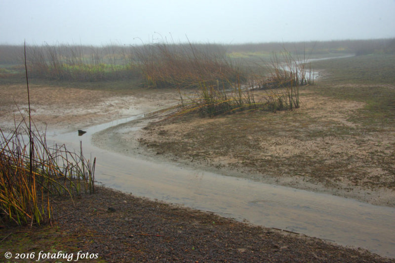 In Fern Ridge Wildlife Area