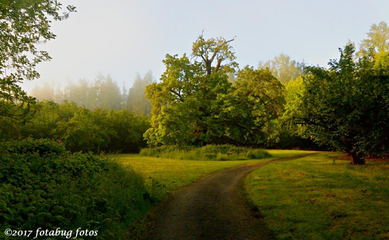 Morning Sun at Dorris Ranch