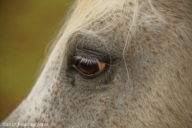 The Eye of Katrina