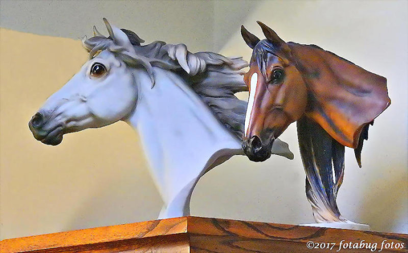 Marian's Horses