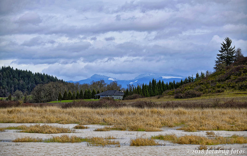 Wetlands With Snow-capped Coburg Hills in the Background.