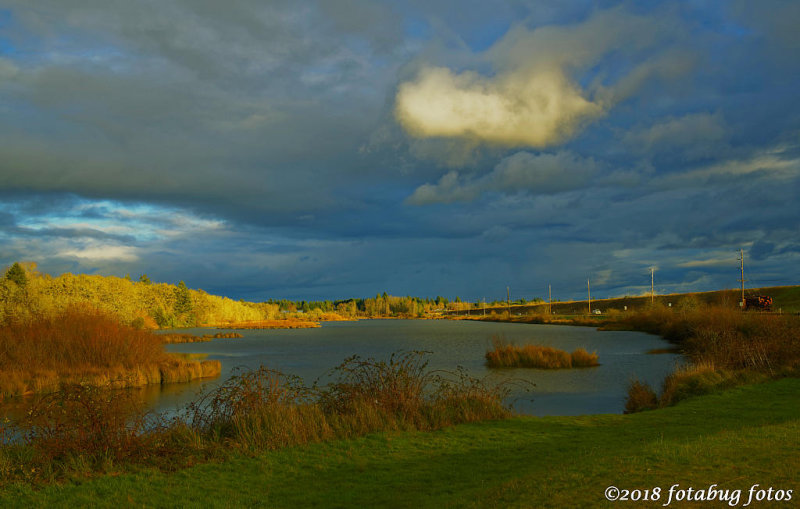 Kirk Pond in the Setting Sun