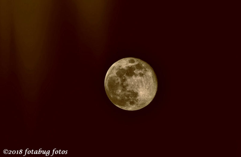 Spring Full Moon