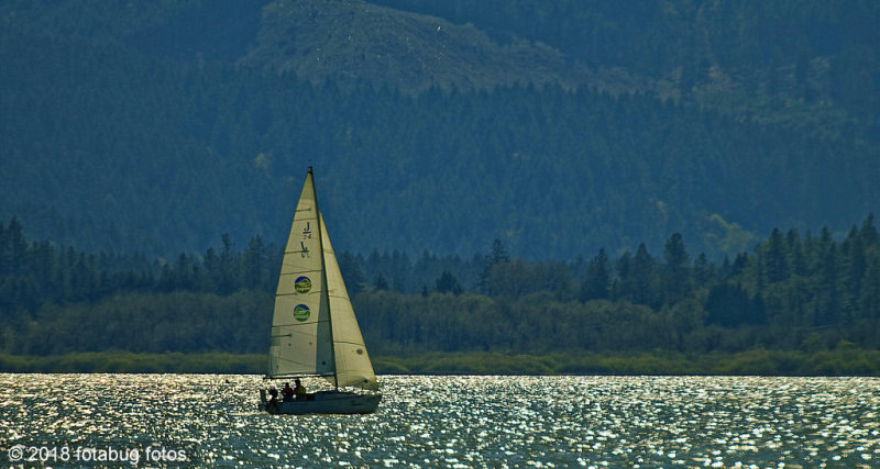 Sailing on Sparkling Waters