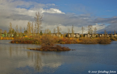 North End of Delta Ponds