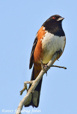 g10/66/444766/3/165714116.MZizXjHk.jpg