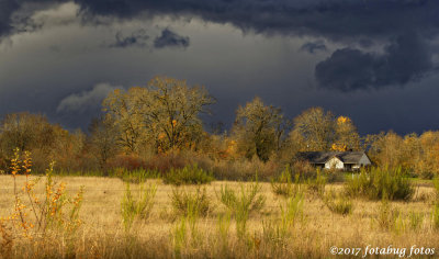 Sunlight before the storm!