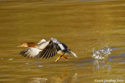 Im Outa Here!
