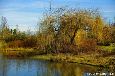 Sunny Afternoon in Eugene