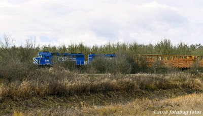 Coos Bay Rail Link