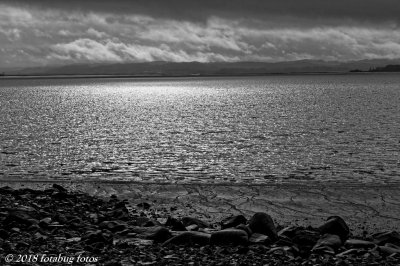 A Black and White Day at Fern Ridge Lake