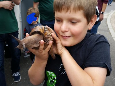 Taking a snail to a travelling reptile show