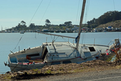 Bodega Bay  & The Sonoma Coast