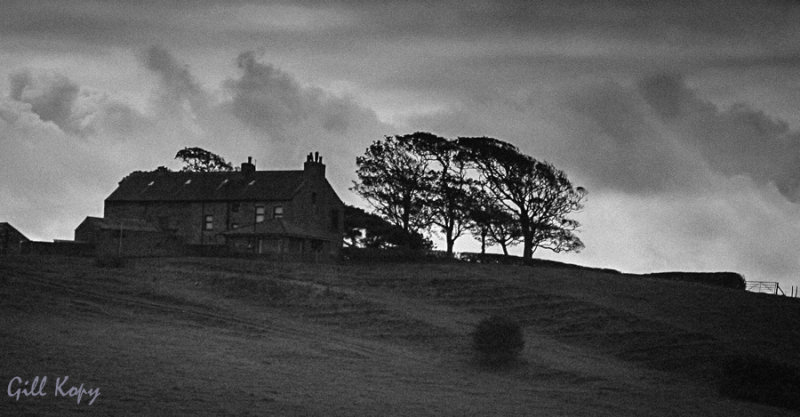 House on a Hill3.jpg