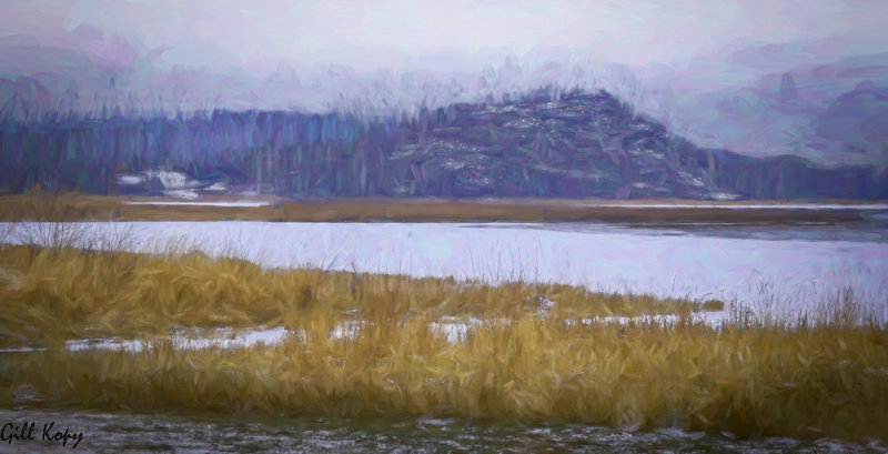 Fraser Lake Impression