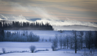 Willowvale morning2