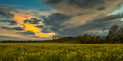 Raps und Eisenberg am Ellerbruch