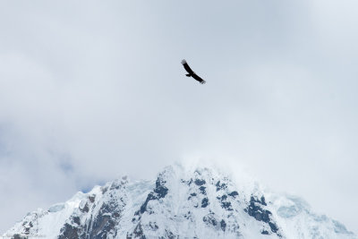 AB0_5259-6.jpg