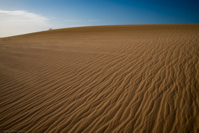 DSC_2558-17.jpg