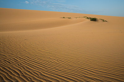 DSC_2569-15.jpg