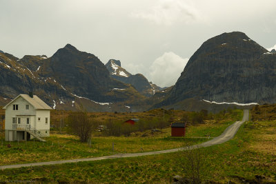 DSC_3305-1.jpg