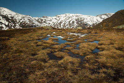 DSC_3000-3.jpg