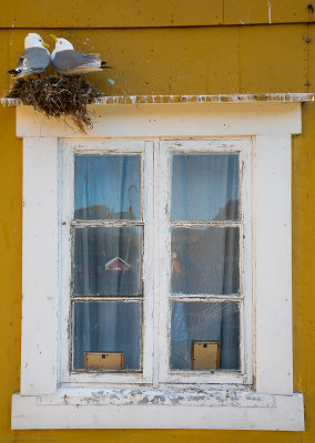 DSC_3085-3.jpg