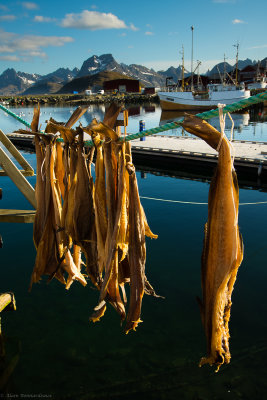 DSC_3548-4.jpg