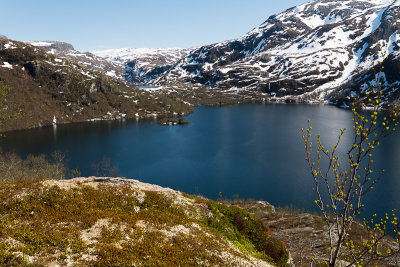 DSC_3011-2.jpg