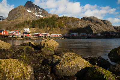 DSC_3094-2.jpg