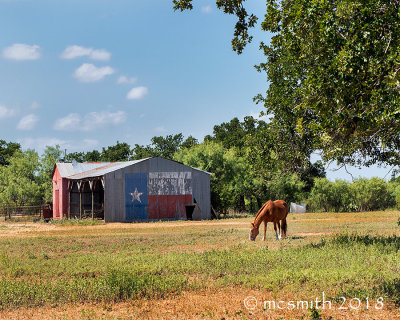 Iconic Texas Scene