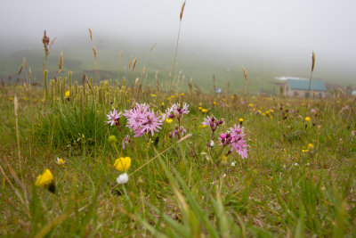 Faroe Islands_0001.jpg