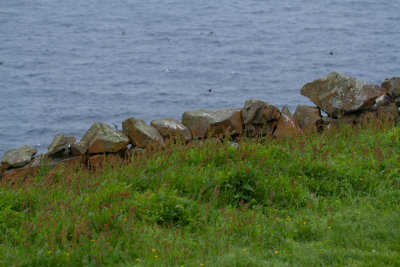 Faroe Islands_0138.jpg