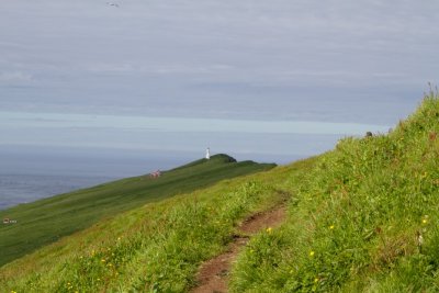 Faroe Islands_7955.jpg