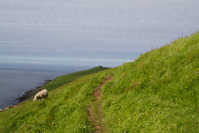 Faroe Islands_7956.jpg